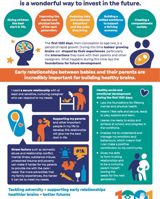 First 1001 Days graphic about the importance of emotional wellbeing 