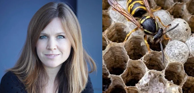 A photograph of Professor Helen McCarthy, Professor of Modern and Contemporary History at the University of Cambridge and a Fellow of St John's College, and a picture of a bee on honeycomb to depict the article, 'Why the WASPI has no sting'.

Professor Helen McCarthy photo credit: Jonathan Ring.