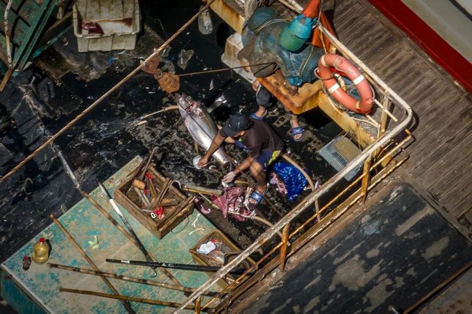 Image from above a fishing vessel, where someone crouches over a dead marine animal.