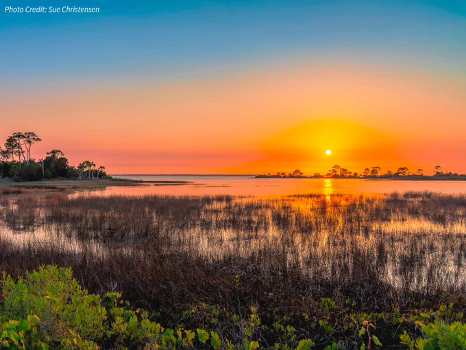 Sunset over the water and marsh. The sky is blue, orange, and pink and the water reflects it. Palm trees in the distance.