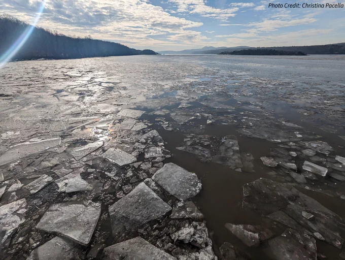 Chunks of ice floating in the water. Tree-covered land is in the distance.