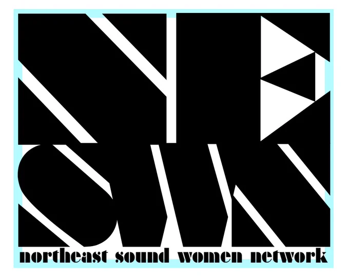 Logo for North East Sound Women Network featuring the letters NESWN in a chunky, angular black font with a white background and turquoise border.