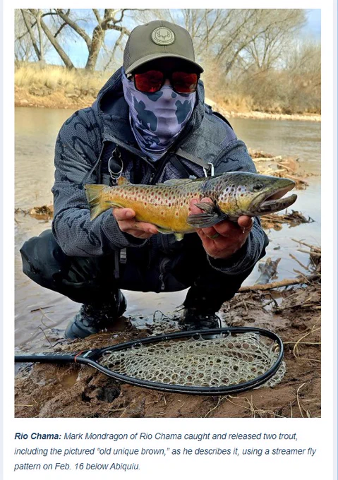 Rio Chama: Mark Mondragon of Rio Chama caught and released two trout, including the pictured “old unique brown,” as he describes it, using a streamer fly pattern on Feb. 16 below Abiquiu.