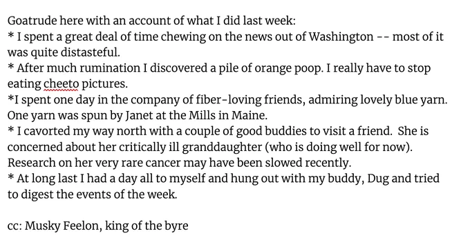 Goatrude here with an account of what I did last week:
* I spent a great deal of time chewing on the news out of Washington -- most of it was quite distasteful. 
* After much rumination I discovered a pile of orange poop. I really have to stop eating cheeto pictures.
*I spent one day in the company of fiber-loving friends, admiring lovely blue yarn. One yarn was spun by Janet at the Mills in Maine. 
* I cavorted my way north with a couple of good buddies to visit a friend.  She is concerned about her critically ill granddaughter (who is doing well for now). Research on her very rare cancer may have been slowed recently. 
* At long last I had a day all to myself and hung out with my buddy, Dug and tried to digest the events of the week.

cc: Musky Feelon, king of the byre
