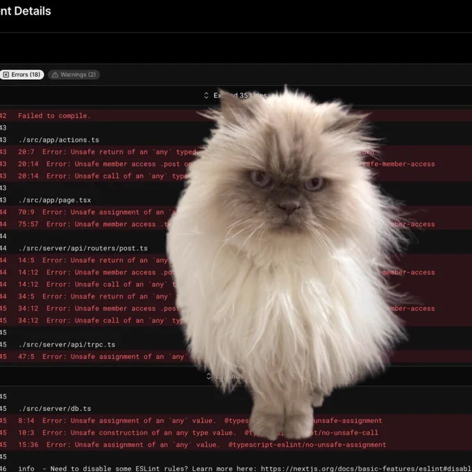 ESLint errors on screen overlayed with white long haired cat looking angry
