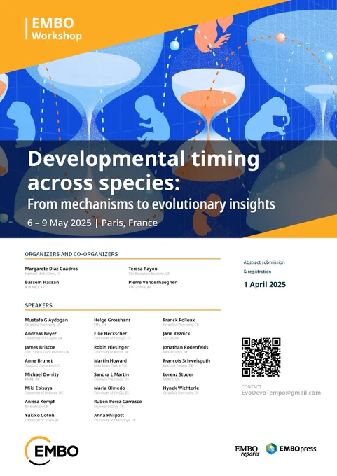 Poster of the EMBO Workshop "Developmental timing across species", showing list of organisers and speakers