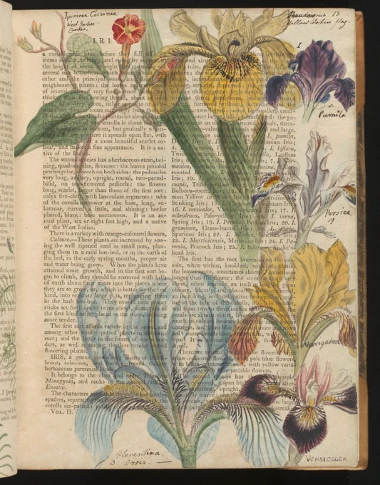 A page of a book painted with flowers