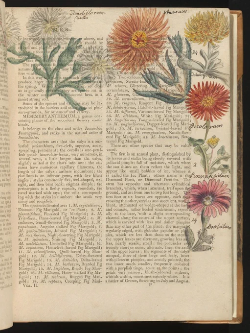 A page of a book painted with flowers