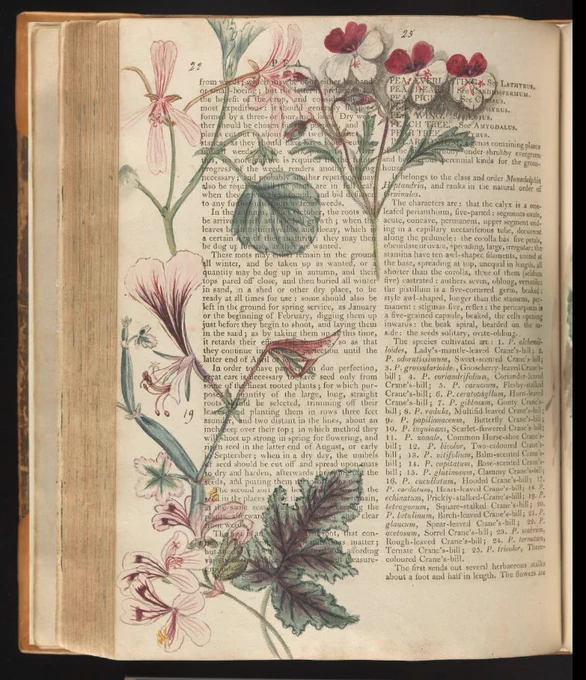 A page of a book painted with flowers
