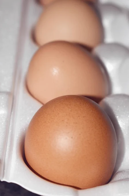 brown eggs in a row in a white egg box