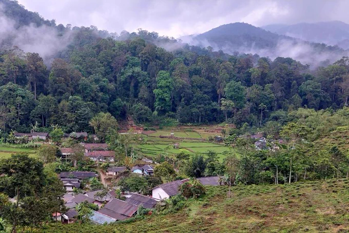 A small village surrounded by dense forest and agricultural fields, with mist covering the nearby hills in West Java.