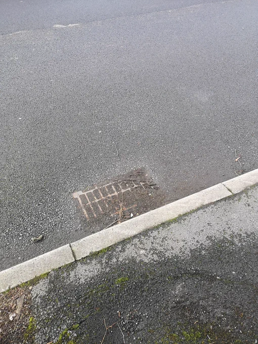 Blocked drain on Manor Avenue. Full of soil.