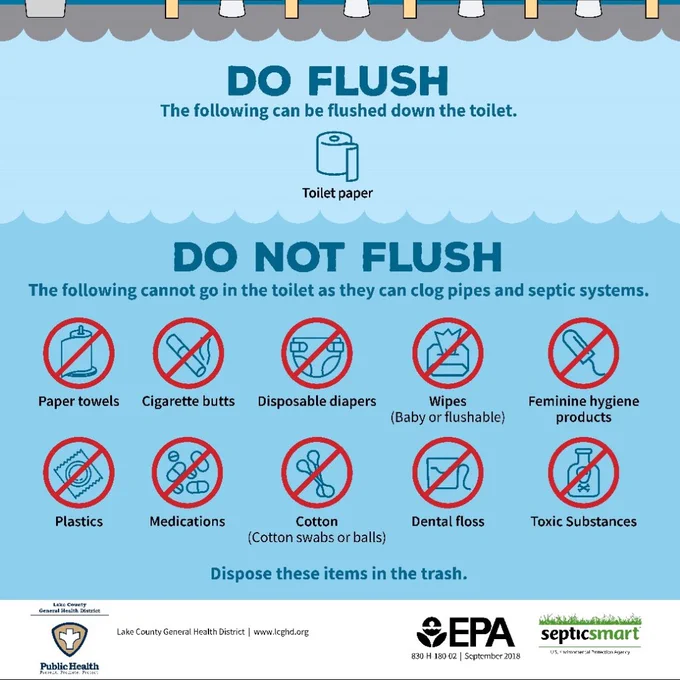 Protect your pipes. You can flush toilet paper.

Do not flush:

-paper towels
-cigarette butts
-disposable diapers
-wipes (baby or flushable)
-feminine hygiene products
-plastics 
-medications
-cotton (cotton swabs or balls)
-dental floss
-toxic substances