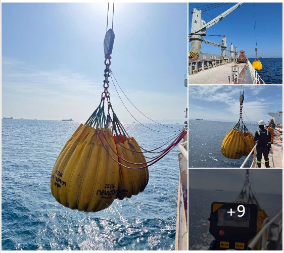 Cargo Crane Load Test Completed at Khorfakkan Anchorage – SWL: 30.5 Ton | Proof Load: 35.5 Ton.

Load Testing Services Required ?
📞  971565099799 | 🔗 alsafwanmarine.com

#CargoCrane #LoadTesting #MarineSafety #HeavyLifting #ProofLoadTest #Khorfakkan #MaritimeOperations #CraneInspection #SWL