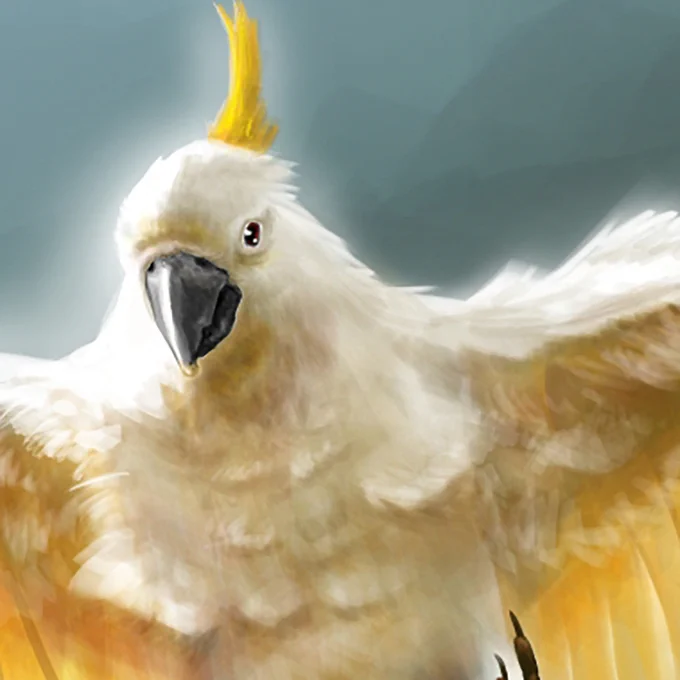 Soaring Cockatoo - Detail