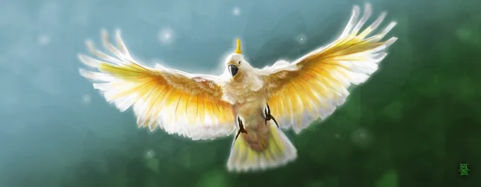 Soaring Cockatoo - Full Size