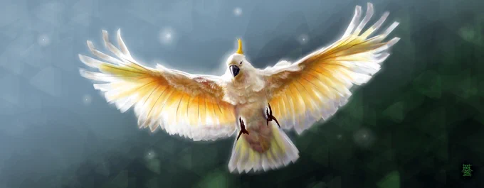 Soaring Cockatoo - Recolor