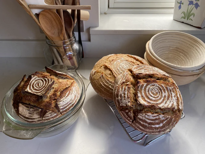 Home baked Sourdough Loaves