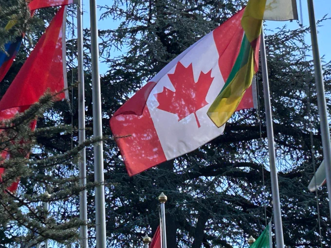 Canadian flag next to other flags with sunny blue sky and trees in background 