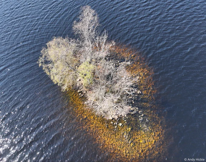 Aerial photo of an artificial island made of stone in a loch with a tree growing on top