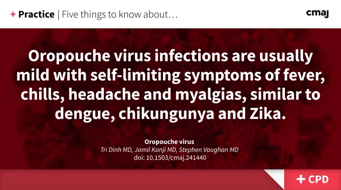 Oropouche virus infections are usually mild with self-limiting symptoms of fever, chills, headache and myalgias, similar to dengue, chikungunya and Zika.