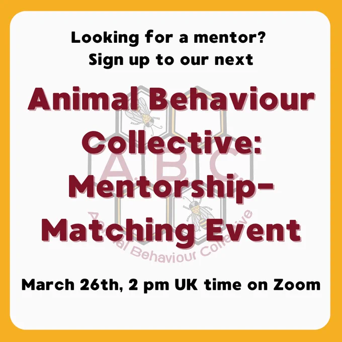 Looking for a mentor? Sign up to our next Animal Behaviour Collective: Mentorship-Matching Event, March 26th 2 pm UK time on Zoom