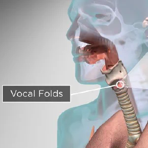 A video titled, “How does our body produce voice and speech?”