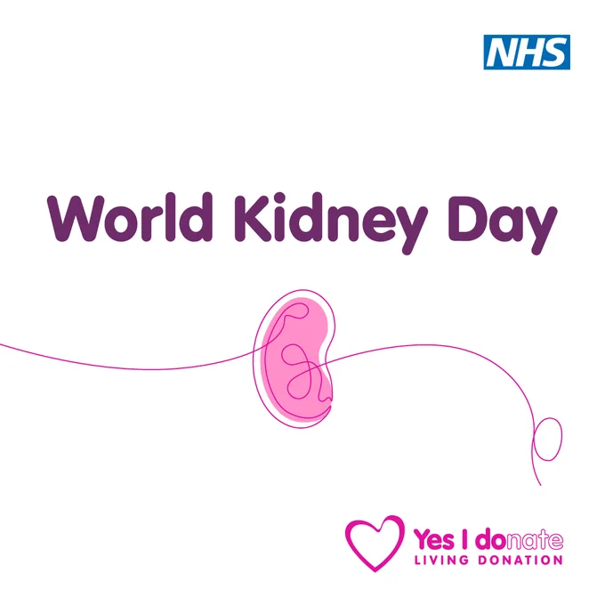 A pink graphic of a kidney. Text reads: World Kidney Day