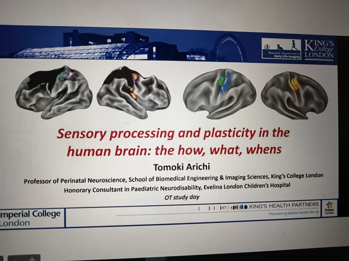 Screenshot of opening slide of presentation - Sensory processing and plasticity in the human brain, the how, what whens by prof Tomoki Arichi
