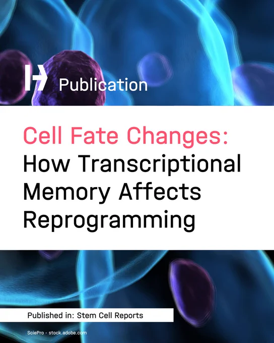 Cell Fate Changes: How Transcriptional Memory Affects Reprogramming