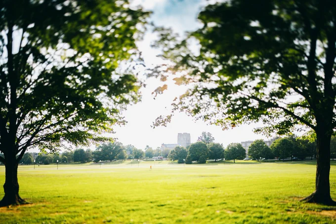 View of Burruss Hall from the Drillfield, framed by trees in leaf.