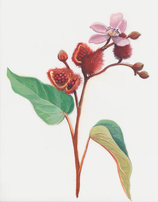 A painting of a simple branch with one pink flower, two green leaves, and a few red berries, over a gray background.