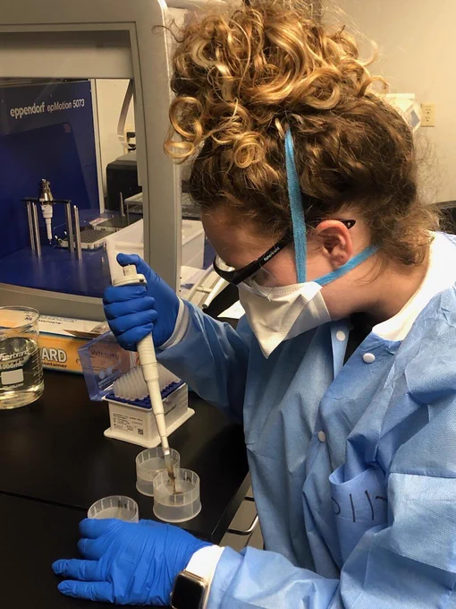 A person in protective clothing, gloves and a mask is seen in a USGS laboratory holding a tool to transfer samples into a culture dish.  