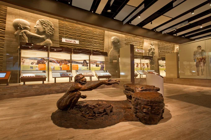 A museum display with a bronze sculpture of an early human squatting in front and objects and graphics on the wall behind