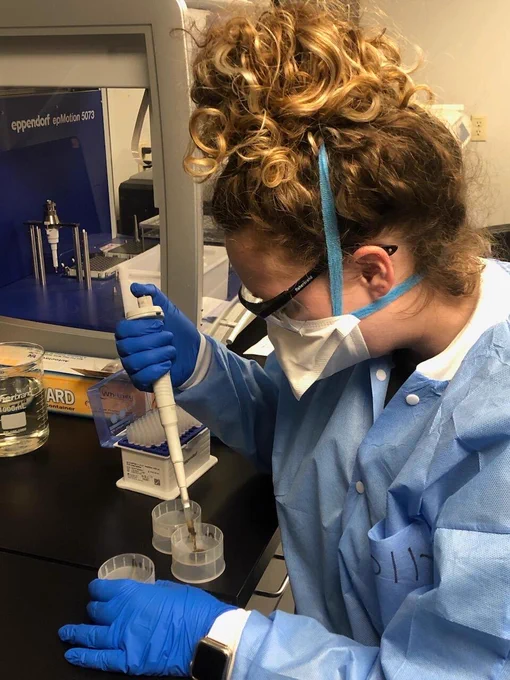 A person in protective clothing, gloves and a mask is seen in a USGS laboratory holding a tool to transfer samples into a culture dish.