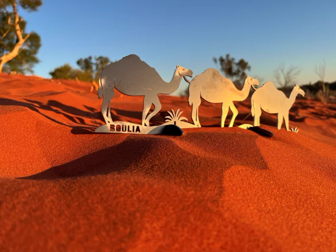 A camel train making its way across the Outback Way! Pick up one of these fantastic souvenirs for yourself when you stop in Boulia!