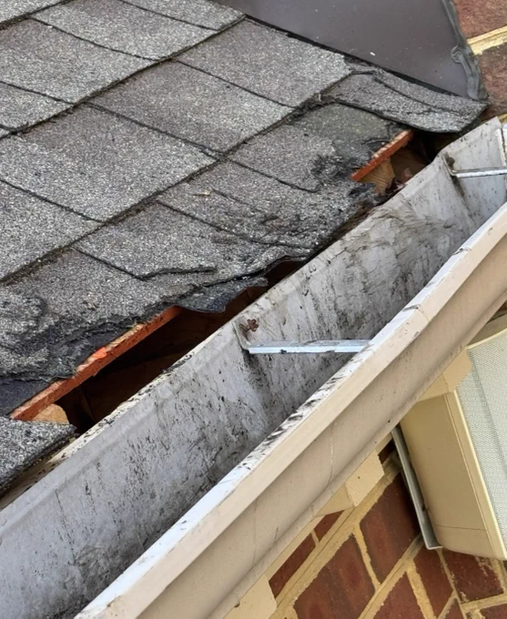 Fredericksburg Gutter and Lawn Cleaning Clogged gutters and gutter guards in Fredericksburg Virginia 

https://gutterandlawn.com/