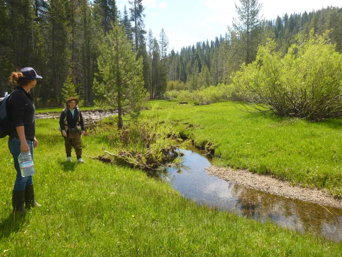 Childs Meadow. Photo by the CWS field crew.