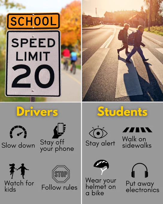 Educational poster featuring two sections. Top left: a "SCHOOL SPEED LIMIT 20" sign under sunlight. Top right: three people using a crosswalk. Bottom half displays icons and safety tips for drivers and students, including driving precautions and pedestrian safety measures.
