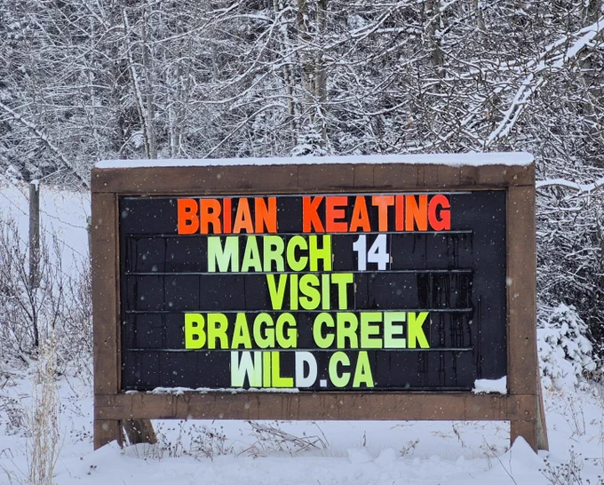 GOING WILD with Brian Keating. 

Enjoy a thought-provoking and humorous audio-visual journey by a world-renowned naturalist.  Explore the natural wonders from across the globe and at home, as well as the interconnectedness we share with wildlife.

Tickets on Eventbrite 
Become a member and receive a $5 discount per ticket. 
For details visit  www.braggcreekwild.ca
