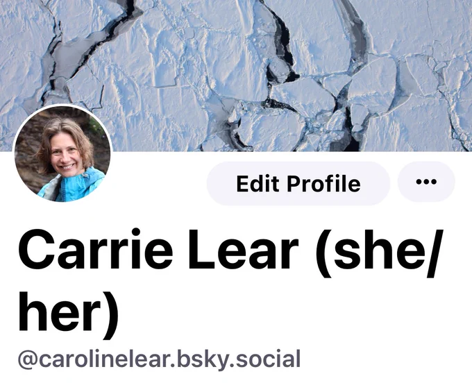 Screenshot of Carrie Lears blue sky account @carolinelear.bsky.social