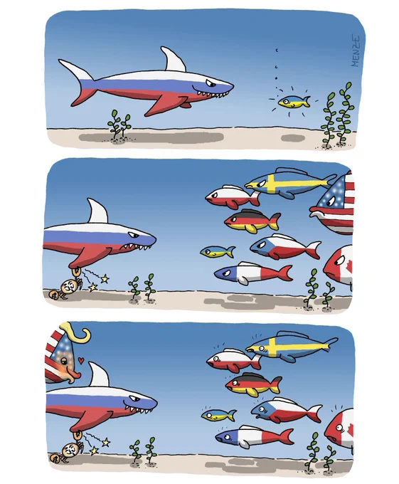 Der Cartoon zeigt eine Unterwasserszene, in der ein großer Hai mit den Farben der russischen Flagge auf einen kleinen Fisch zuschwimmt, der die Ukraine repräsentiert. Der Hai wirkt bedrohlich, während der ukrainische Fisch allein und schutzlos vor ihm zu stehen scheint.

In der nächsten Szene tauchen mehrere Fische auf, die sich hinter dem ukrainischen Fisch versammeln. Sie tragen die Farben der Flaggen von Frankreich, Schweden, Polen, Tschechien, Kanada, Deutschland sowie USA. Der Haifisch schaut verärgert. 

Im letzten Panel hat sich der Fisch mit der US-Flagge von der Gruppe entfernt und ist auf die Seite des russischen Hais gewechselt. Er trägt nun eine gelbe Haartolle und ein orangenes Gesicht. Statt die anderen Fische zu unterstützen, schwimmt er nun an der Seite des Hais und wirft ihm einen Kuss zu. Über seinem Kopf schwebt ein kleines Herz. Die anderen bleiben hinter dem ukrainischen Fisch und schauen entsetzt auf die Liebesszene.