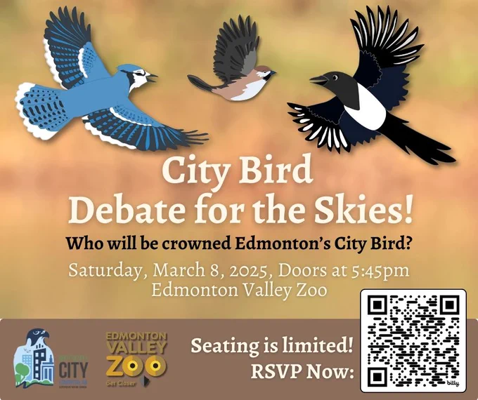 Event poster advertising City Bird Vote on Saturday March 8th.