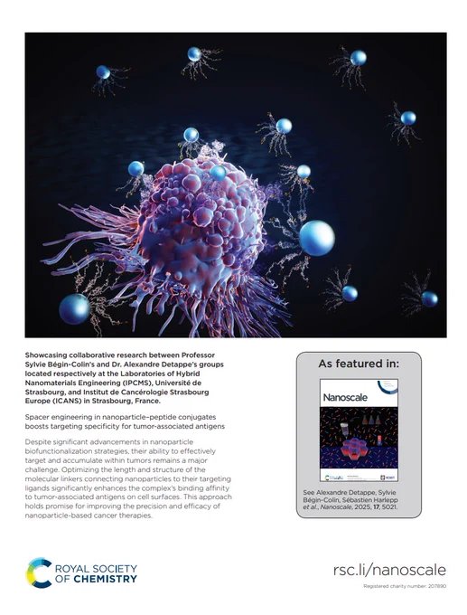 Image depicts a purple tumorous growth with blue spherical nanoparticles modified with targeting ligands both surrounding it and attached to the surface. Dark blue background with wave-like texture.