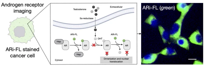 https://chemrxiv.org/engage/chemrxiv/article-details/67c5bcfa81d2151a02e11171