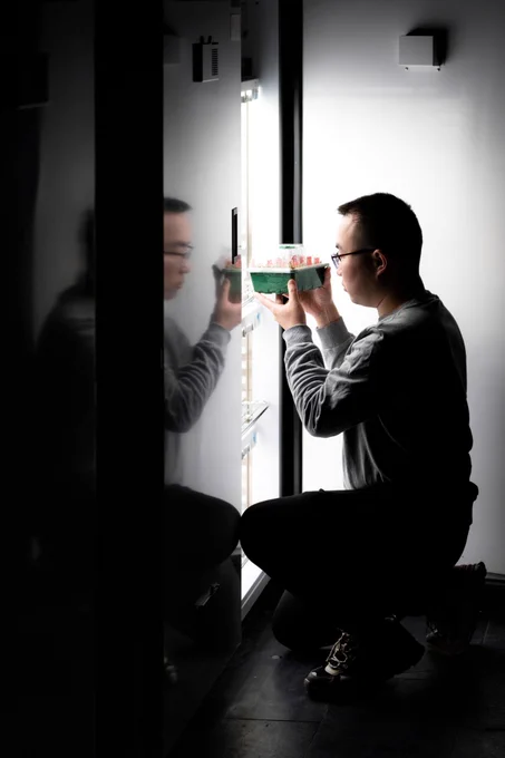 Huihuang Chen picks up a growth chamber containing Arabidopsis thaliana. Once Arabidopsis thaliana seedlings develop into small plants, they thrive in temperatures of 20-22 °C with adequate light. © ISTA