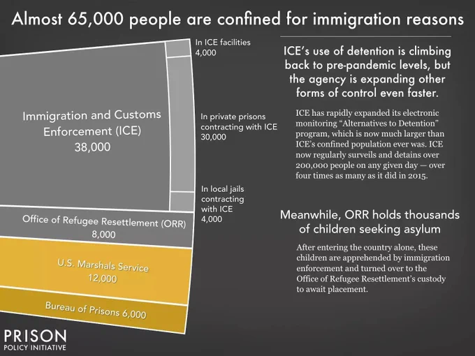 Pie chart titled: Almost 65,000 people are confined for immigration reasons