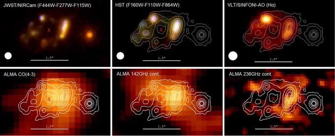Imaging of zC406690 from various observations, showing a ring-like structure in spatially resolved images. The contours in all panels trace the JWST/NIRCam F444W emission. The Hα kinematic center is marked by the red cross. Top row: composite RGB image from NIRCam F115W, F277W and F444W (PSF matched to 0.15′′ using WebbPSF and Photoutils, left panel); composite RGB image from HST H, J and F814W bands (PSF 0.15′′, middle panel); Top right: Hα moment zero map from VLT/SINFONI (PSF 0.18′′, right panel). Bottom row: low-resolution ALMA archival observations of the CO(4-3) emission (PSF 
1.5′′, integrated S/N=7), 142GHz continuum (PSF 1.5′′, peak S/N=4.5) and 236 GHz continuum (PSF 0.74′′, peak S/N=2.5).