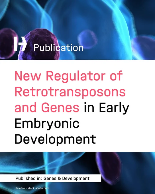 SRF: A New Regulator of Retrotransposons and Genes in Early Embryonic Development