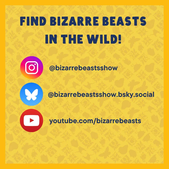 FIND BIZARRE BEASTS IN THE WILD 
instagram @bizarrebeastsshow
bsky bizarrebeastsshow.bsky.social
youtube.com/bizarrebeasts